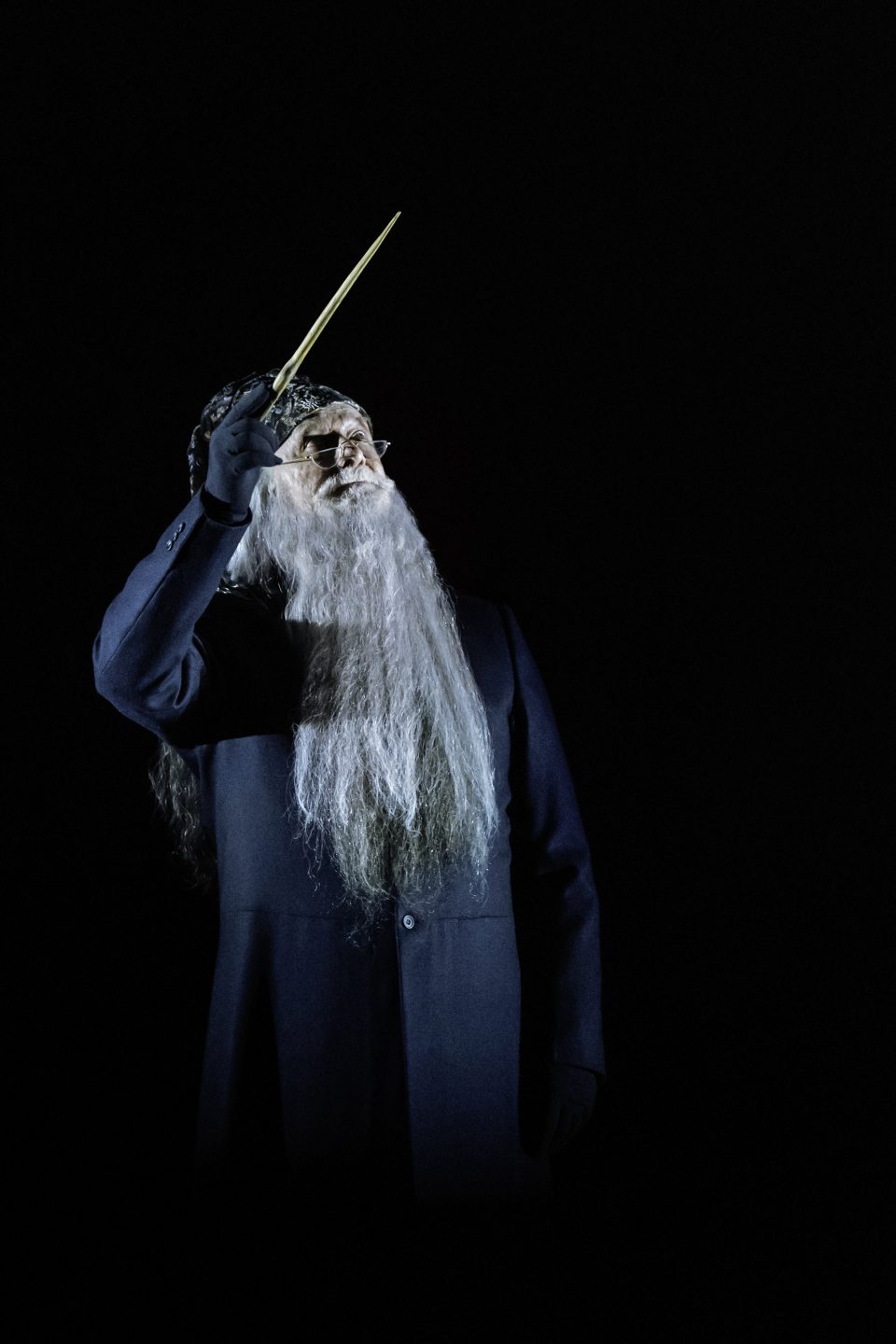 HPCC_BROADWAY_Dumbledore – Photo By Manuel Harlan