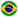 pt-br